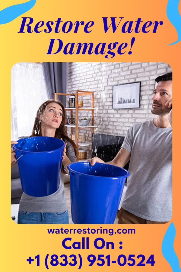 water restoration Platinum Sewage Cleanup Pros Ilion