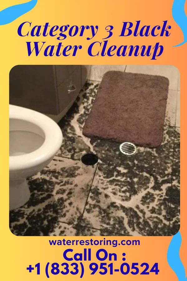 Category 3 Black Water Cleanup in Ilion, NY