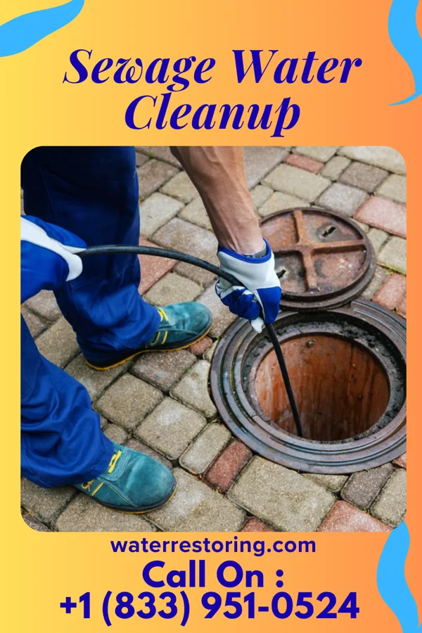 Sewage Water Cleanup in Ilion, NY