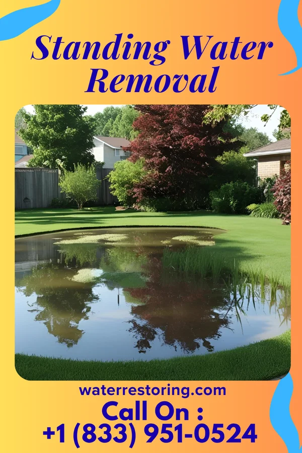 Standing Water Removal in Ilion, NY